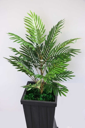 Ahşap Saksıda 21 Dallı Areka Bitkisi 115 cm - 2