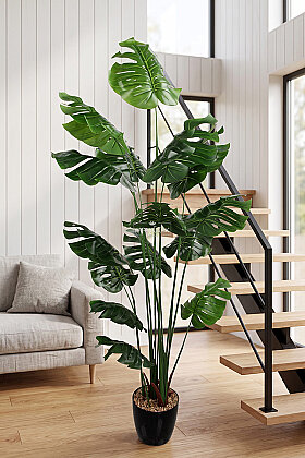  Yapay 15 Yapraklı Clean Aesthetic Deve Tabanı Ağacı 190 cm - 2