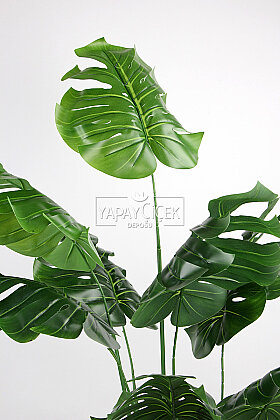  Yapay 15 Yapraklı Clean Aesthetic Deve Tabanı Ağacı 190 cm - 4