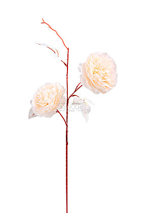 Yapay 2 Güllü Şakayık Çiçeği Dalı 77 cm Şampanya - 3