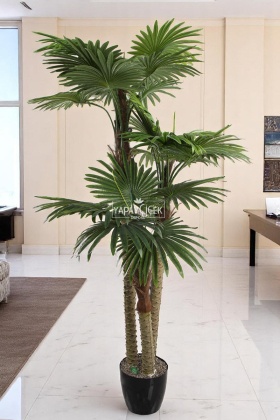 Yapay 3 Gövdeli 27 Yapraklı Yelpaze Palmiye Fanpalm Ağacı 300 cm - Yapay Çiçek Deposu