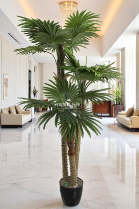 Yapay 3 Gövdeli 27 Yapraklı Yelpaze Palmiye Fanpalm Ağacı 300 cm - 3
