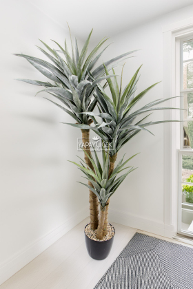 Yapay 3 Gövdeli Dracena Marginata Ağacı 160 cm - Yapay Çiçek Deposu