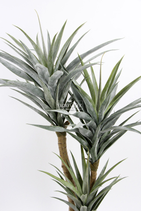 Yapay 3 Gövdeli Dracena Marginata Ağacı 160 cm - 3