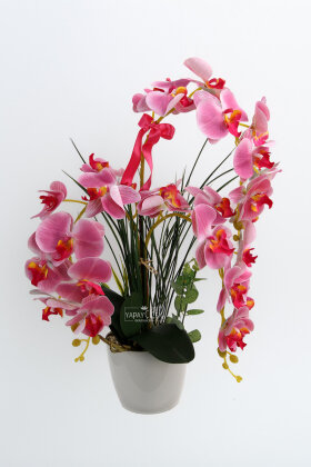 Saksıda 3'lü Yapay Islak Orkide Tanzimi 60 cm Pembe - 2