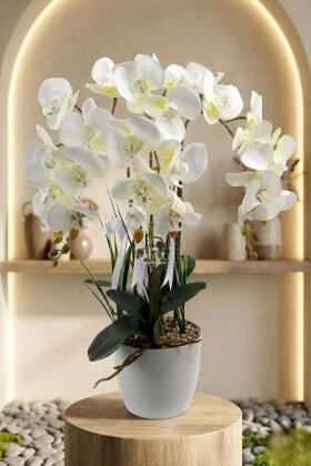 Dekoratif 3'lü Tropic Rüya Yapay Islak Orkide Tanzimi Beyaz 60 cm - Yapay Çiçek Deposu