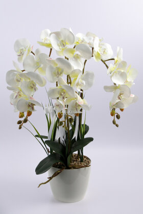 Dekoratif 3'lü Tropic Rüya Yapay Islak Orkide Tanzimi Beyaz 60 cm - 2