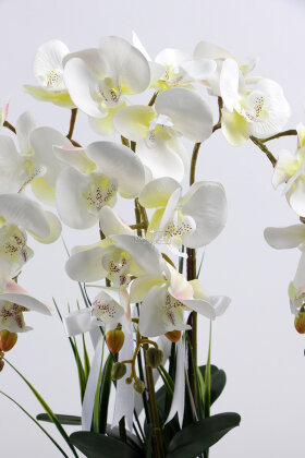 Dekoratif 3'lü Tropic Rüya Yapay Islak Orkide Tanzimi Beyaz 60 cm - 3