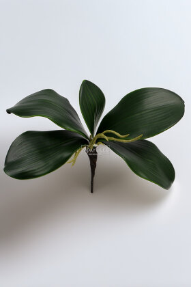 Yapay Çiçek 5 Dallı Tohumlu Orkide Yaprağı 25 cm - 2