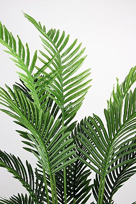 Dinazor Yumurtası Saksıda Yapay Ağaç 15 Yapraklı Madagaskar Areka Palmiyesi Ağacı 185 cm Beyaz - 4