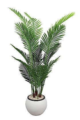 Küre Saksıda Yapay Ağaç 15 Yapraklı Madagaskar Areka Palmiyesi Ağacı 175 cm Beyaz - 3