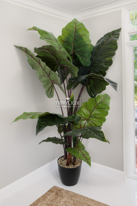 Yapay Ağaç 17 Yapraklı Alocasia Fil Kulağı Ağacı 150cm Yeşil-Kızıl - Yapay Çiçek Deposu