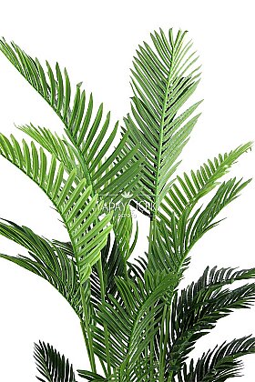 Yapay Ağaç 21 Yapraklı Kentia Areka Palmiyesi Ağacı 200 cm - 4