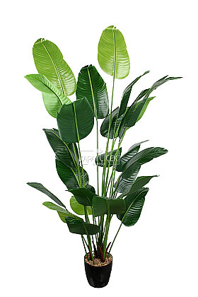 Yapay Ağaç 26 Yapraklı Soft Green Starliçe Ağacı 205 cm - 3