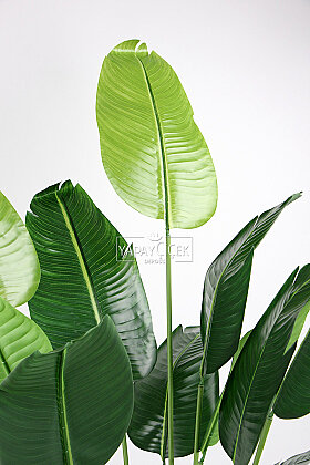 Yapay Ağaç 26 Yapraklı Soft Green Starliçe Ağacı 205 cm - 4