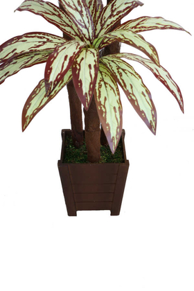 Yapay Ağaç 3 Gövdeli Cordyline 160 cm Kızıl Model - 2
