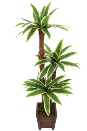 Yapay Ağaç 3 Gövdeli Cordyline 160 cm Yeşil-Sarı - 1