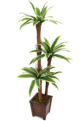 Yapay Ağaç 3 Gövdeli Cordyline 160 cm Yeşil-Sarı - 2