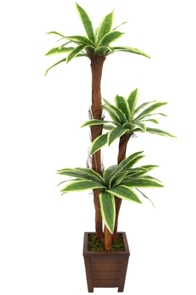 Yapay Ağaç 3 Gövdeli Cordyline 160 cm Yeşil-Sarı - 4