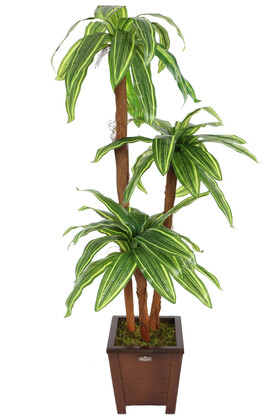 Yapay Ağaç 3 Gövdeli Cordyline 140 cm Yeşil-Sarı Çizgili - 1