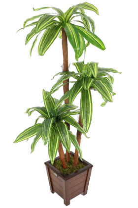 Yapay Ağaç 3 Gövdeli Cordyline 140 cm Yeşil-Sarı Çizgili - 2