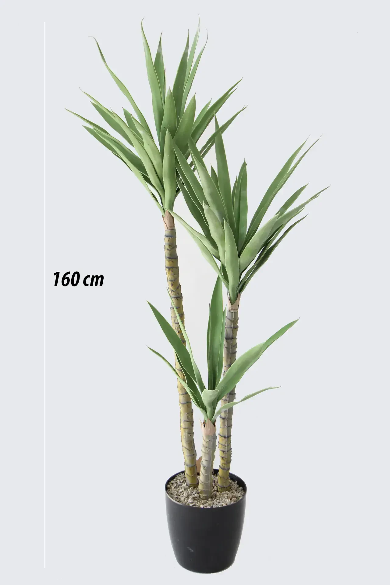 Yapay Ağaç 3 Gövdeli Agave 160 cm Saksılı - 3