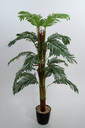 Kokos Gövdeli Areka Palmiyesi Ağacı 150 cm - 3