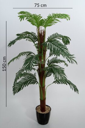 Kokos Gövdeli Areka Palmiyesi Ağacı 150 cm - 5