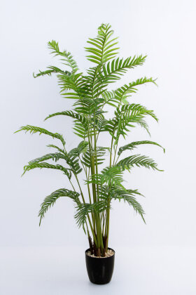 Siyah Saksıda Yapay Ağaç Areka Palmiyesi 170 cm - 4