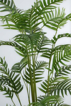 Siyah Saksıda Yapay Ağaç Areka Palmiyesi 170 cm - 5