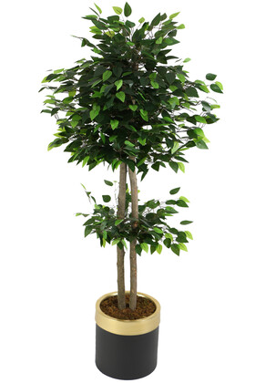 Metal Saksıda Yapay Benjamin Ağacı 160 cm - 1
