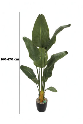 Yapay Ağaç Gerçekçi King Starliçe 10 Yapraklı 170 cm - 2