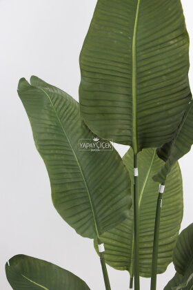 Yapay Ağaç Gerçekçi King Starliçe 10 Yapraklı 170 cm - 3