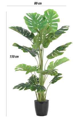 Yapay Deve Tabanı Ağacı (monstera Ağacı) Gerçek Dokulu 16 Yapraklı 150 Cm - 3