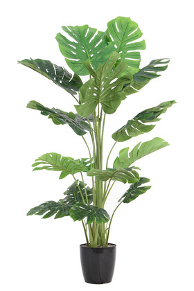 Yapay Deve Tabanı Ağacı (monstera Ağacı) Gerçek Dokulu 16 Yapraklı 150 Cm - 4