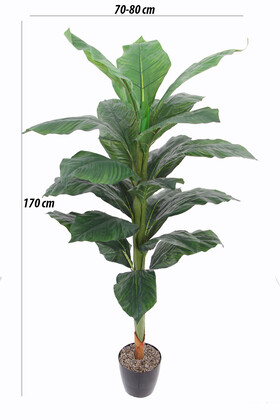 Yapay Ağaç Difenbahya 170 cm Yeşil - 2