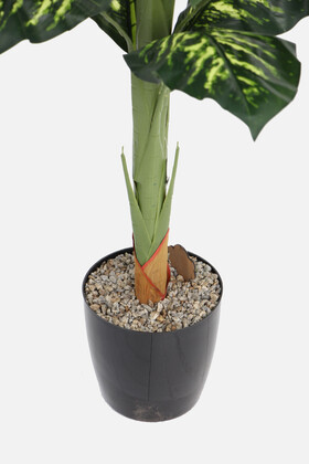 Yapay Ağaç Difenbahya 170 cm Yeşil-Sarı - 4