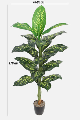 Yapay Ağaç Difenbahya 170 cm Yeşil-Sarı - 2
