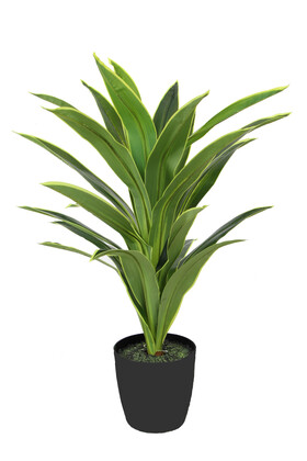 Yapay Ağaç Saksıda Dracaena 100 cm Yeşil-Sarı - 3