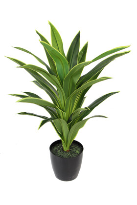 Yapay Ağaç Saksıda Dracaena 100 cm Yeşil-Sarı - Yapay Çiçek Deposu