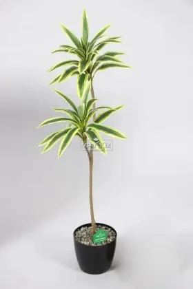 Yapay Ağac Dracena 2 Dallı Gerçek Dokulu 90 cm - 1