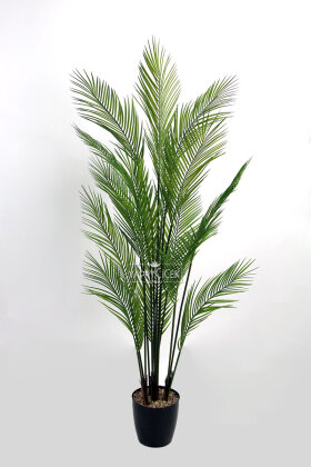 Yapay Ağaç Premium Dypsis Lutescens Areka 180 cm - 3