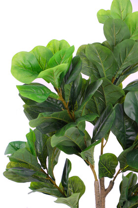 Yapay Ağac Ficus Lyrate 150 cm - 3