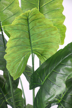 Yapay Ağaç Alocasia Fil Kulağı Ağacı 165 cm - 4