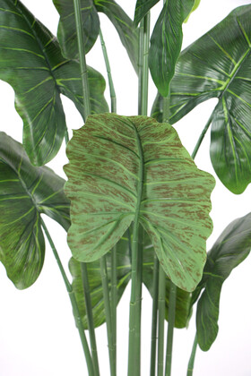Yapay Ağaç Alocasia Fil Kulağı Ağacı 165 cm - 3