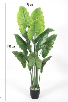 Yapay Ağaç Alocasia Fil Kulağı Ağacı 165 cm - 2