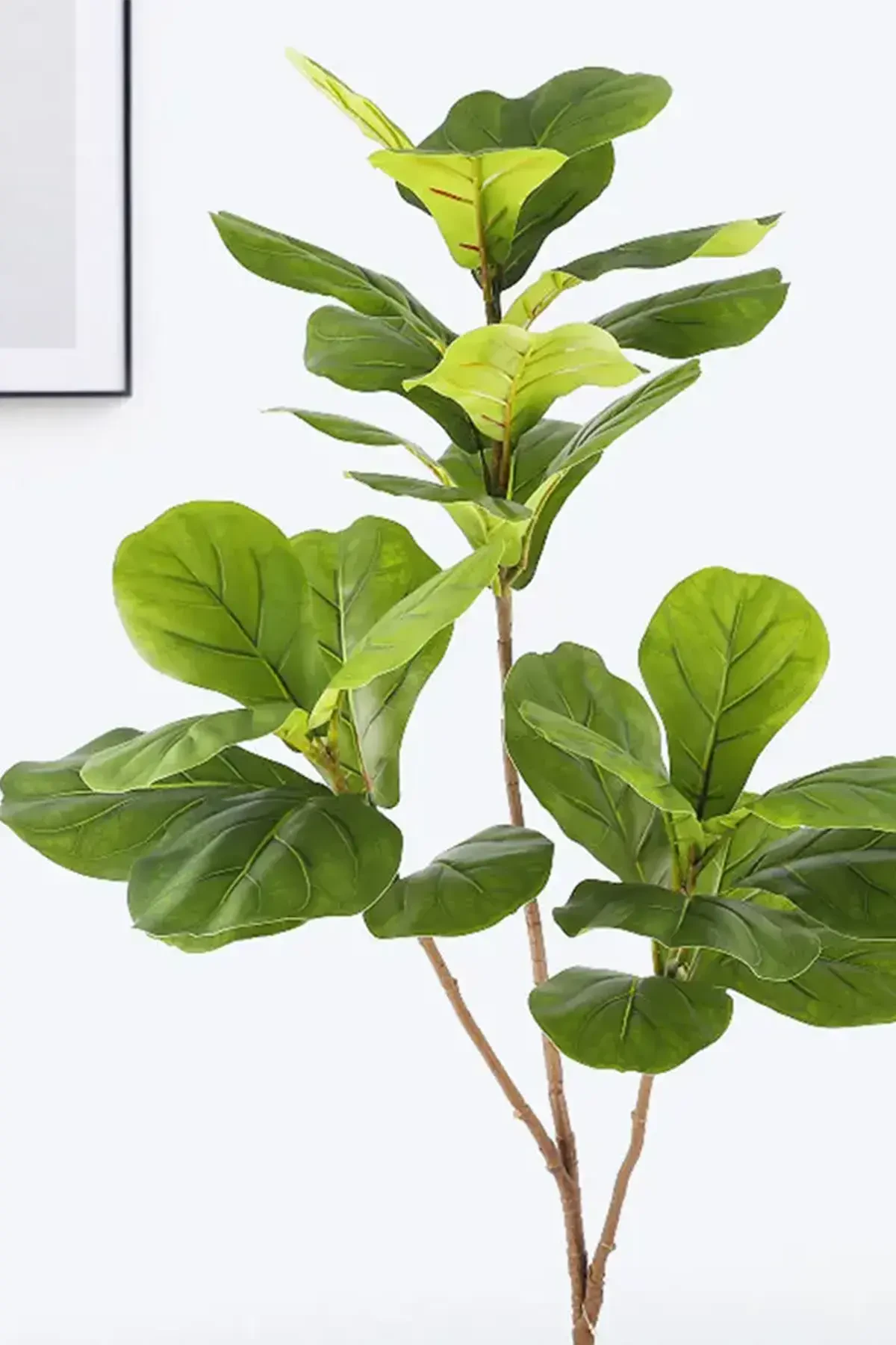 Yapay Ağac Keman Bitkisi 3 Dallı 135 cm (Saksısız) - 2