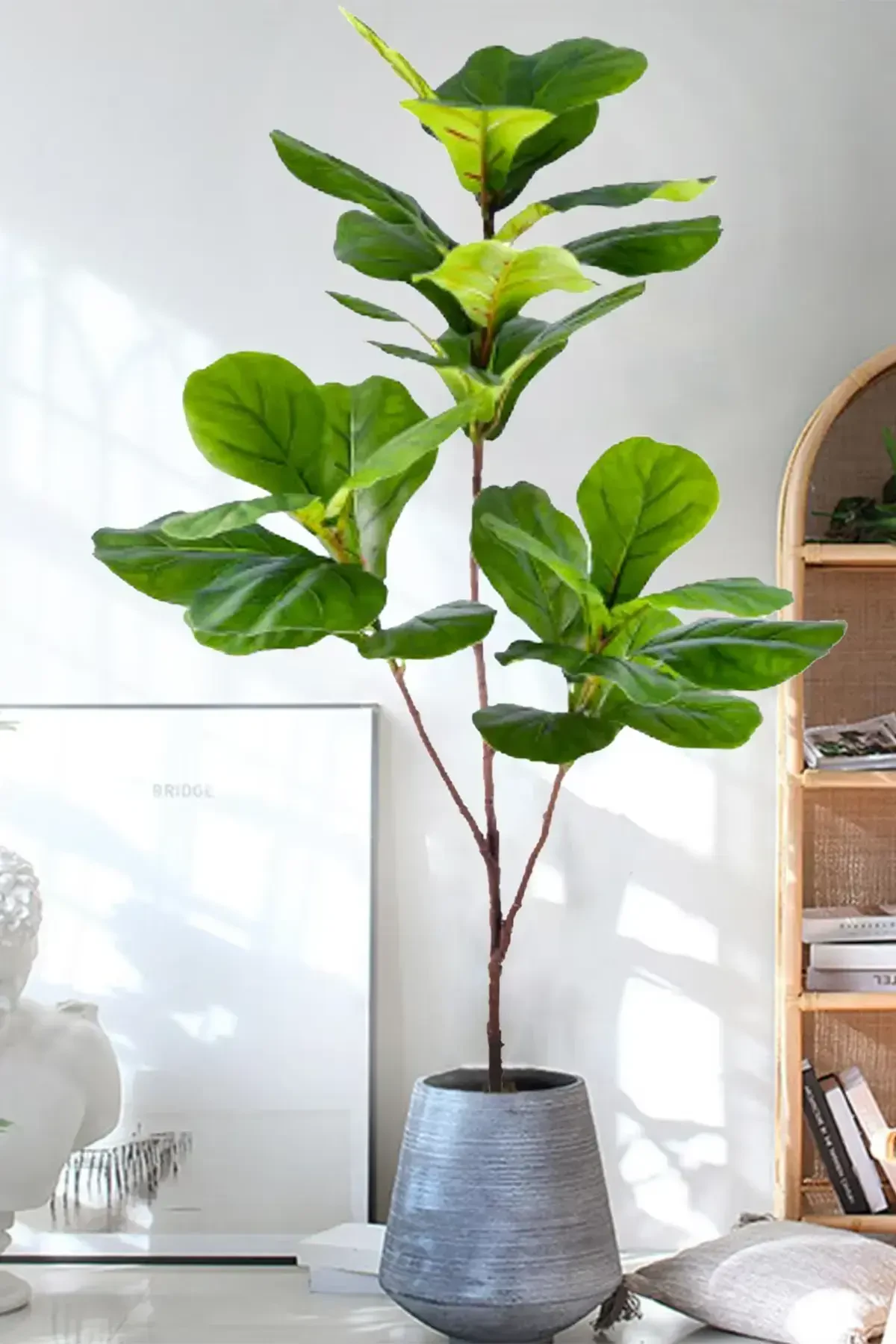 Yapay Ağac Keman Bitkisi 3 Dallı 135 cm (Saksısız) - 5