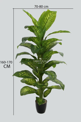 Yapay Ağaç Yoğun Yapraklı Premium Difenbahya 160-170 cm Yeşil-Sarı (34 Yapraklı) - 3