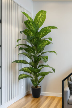 Yapay Ağaç Yoğun Yapraklı Premium Difenbahya 160-170 cm Yeşil-Sarı (34 Yapraklı) - 2